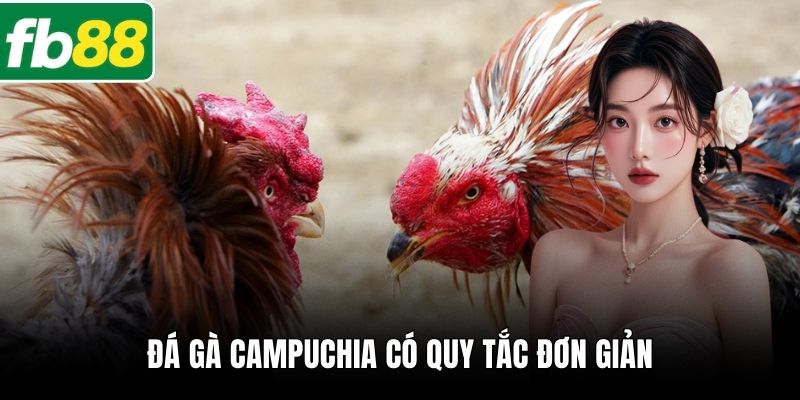 Đá gà Campuchia có quy tắc đơn giản