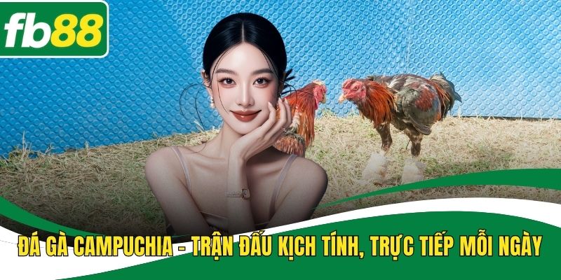 Đá Gà Campuchia – Trận Đấu Kịch Tính, Trực Tiếp Mỗi Ngày