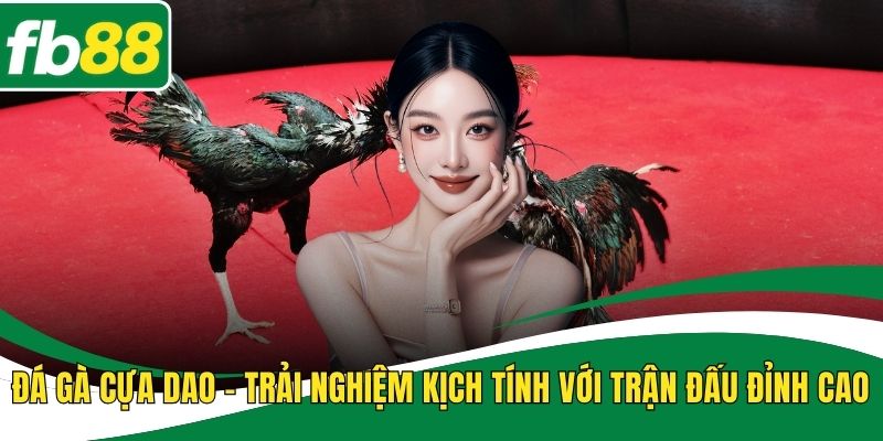 Đá Gà Cựa Dao – Trải Nghiệm Kịch Tính Với Trận Đấu Đỉnh Cao