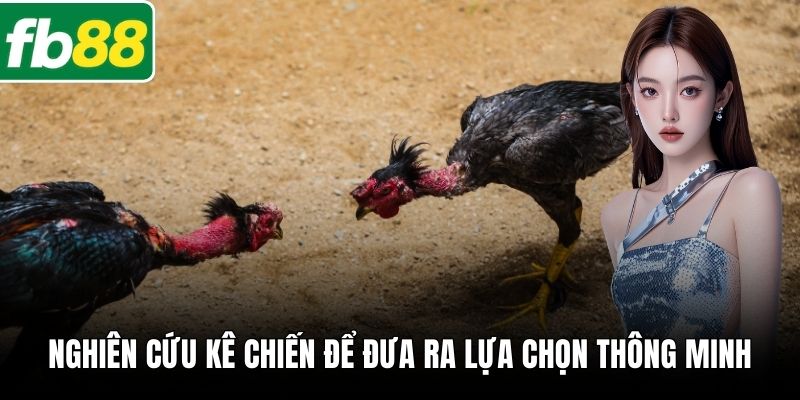 Nghiên cứu kê chiến để đưa ra lựa chọn thông minh