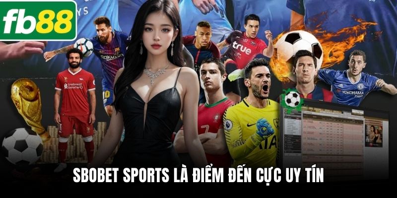SBOBET Sports là điểm đến cực uy tín