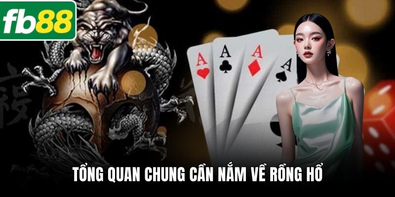 Tổng quan chung cần nắm về rồng hổ